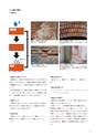 未来につなぐ人類の技17　煉瓦造建造物の保存と修復