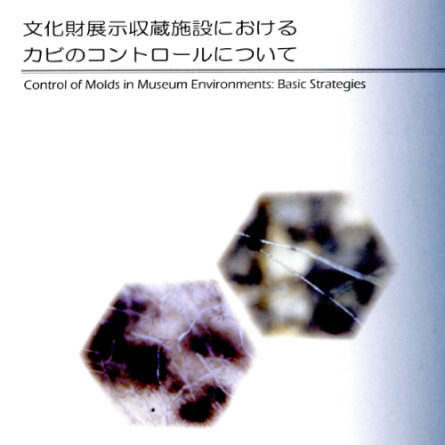 カビのコントロールについて
