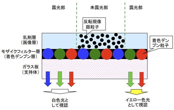 写真の保存と保護のための写真の基礎