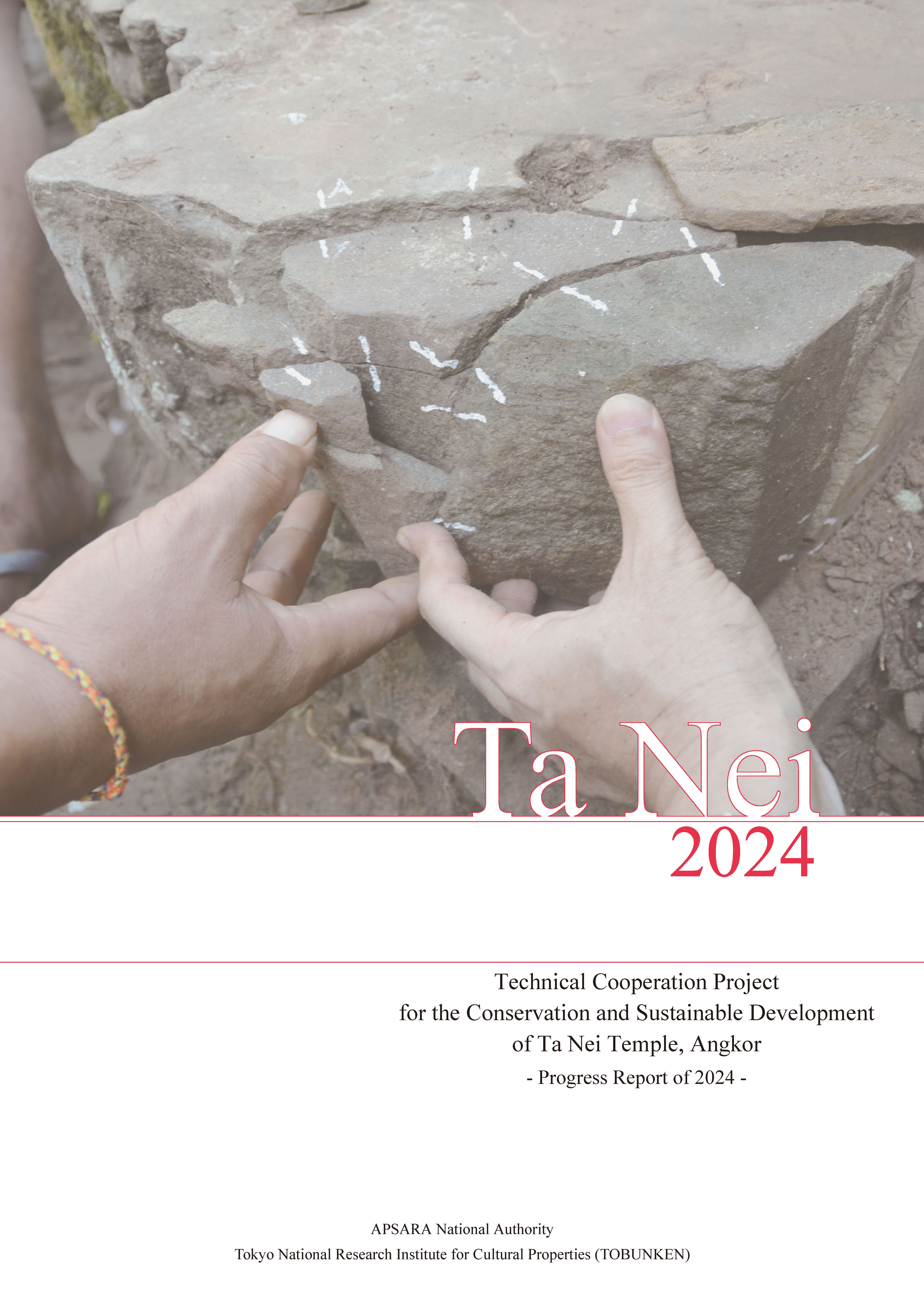 Ta Nei Progress Report 2024